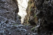 CORNA CAMOSCERA (COREN),1329 m, da Cavaglia di Val Brembilla il 14 gennaio 2019- FOTOGALLERY